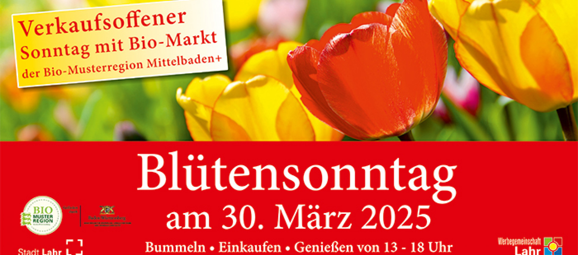 Blütensonntag in Lahr: Verkaufsoffener Sonntag mit Bio-Markt am 30. März